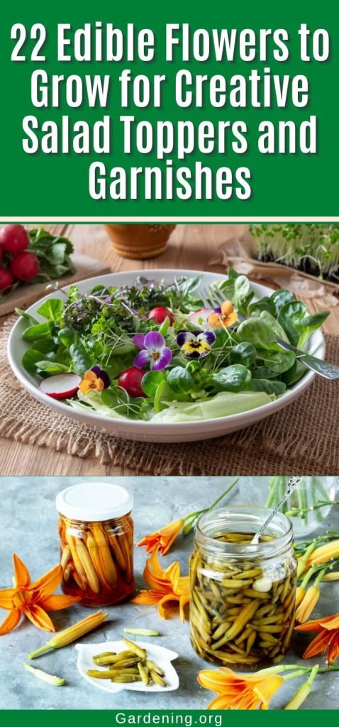 22 Edible Flowers to Grow for Creative Salad Toppers and Garnishes pinterest image.