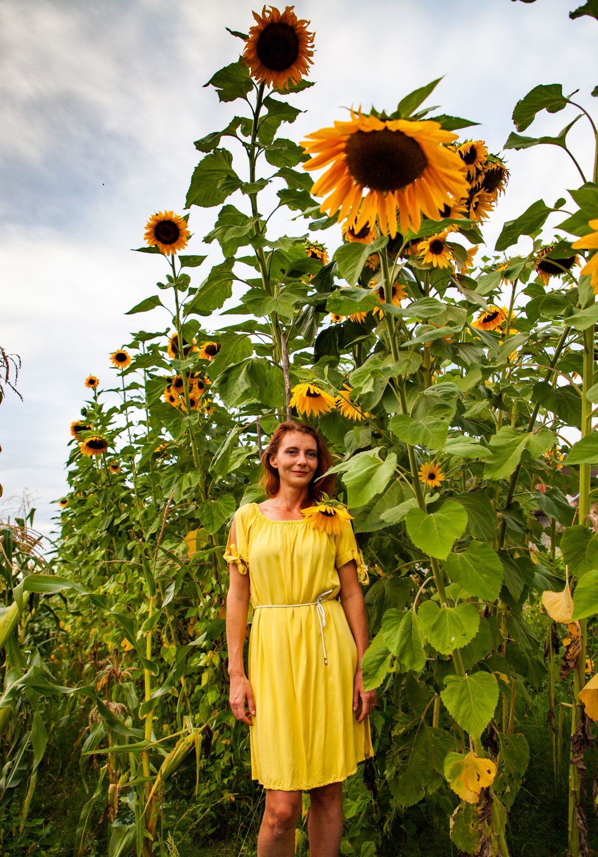 A woman standing next to tall sunflowers for a competition entry