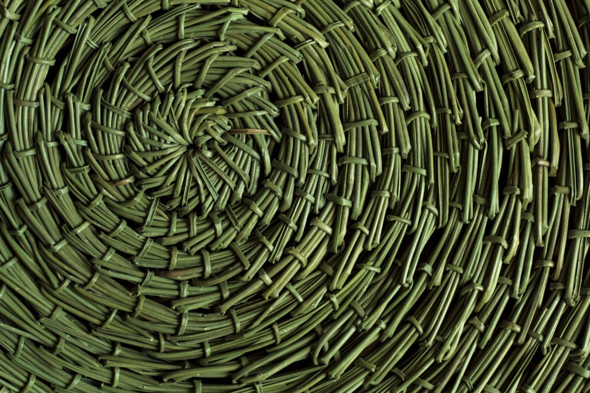 A coil weaved grass basket