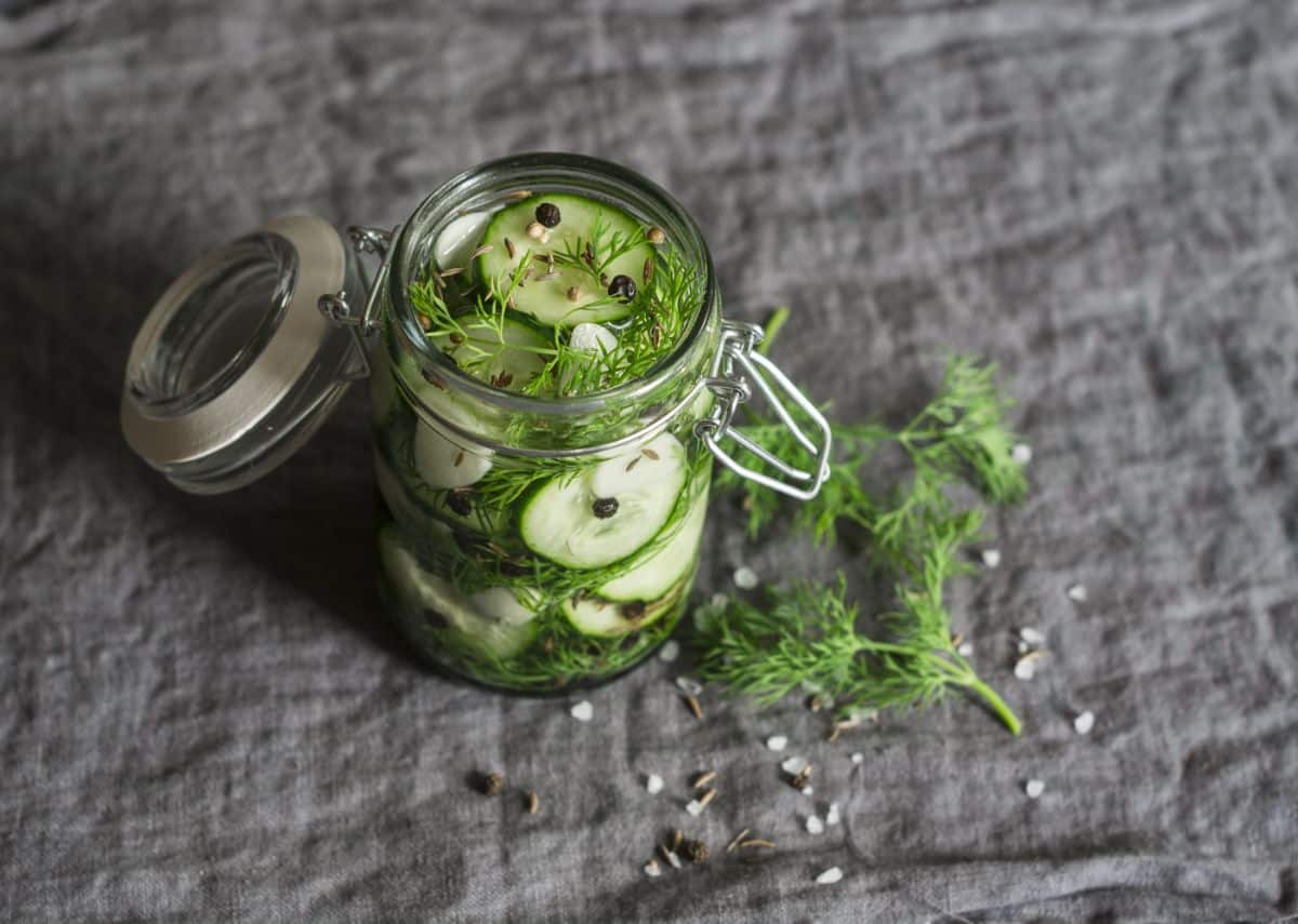 A jar of prepared refrigerator pickles