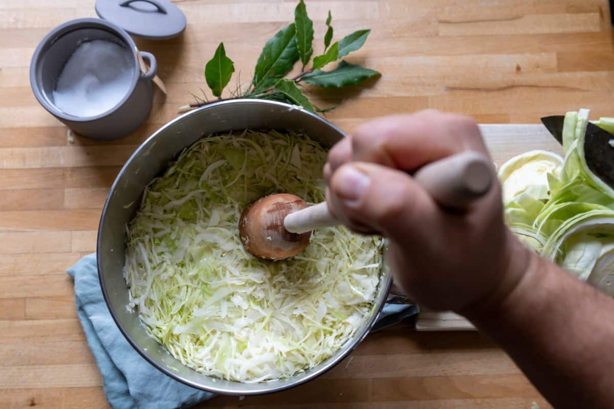 A person pounding down cabbage to make sauerkraut