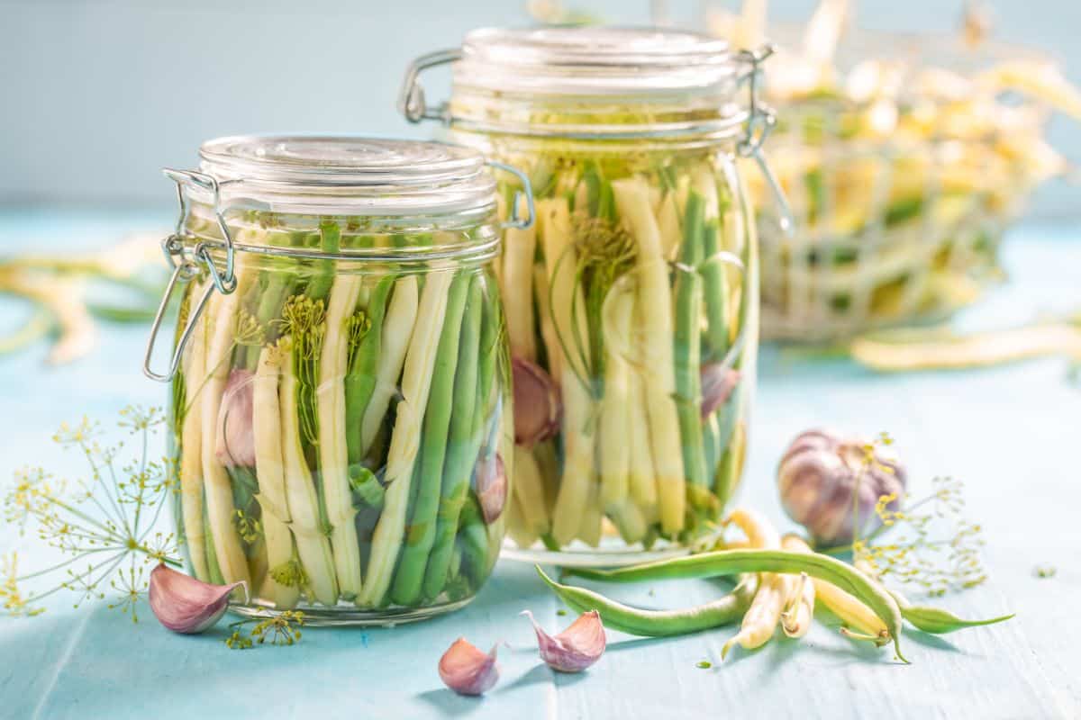 Dilly beans dill pickles made from green beans 
