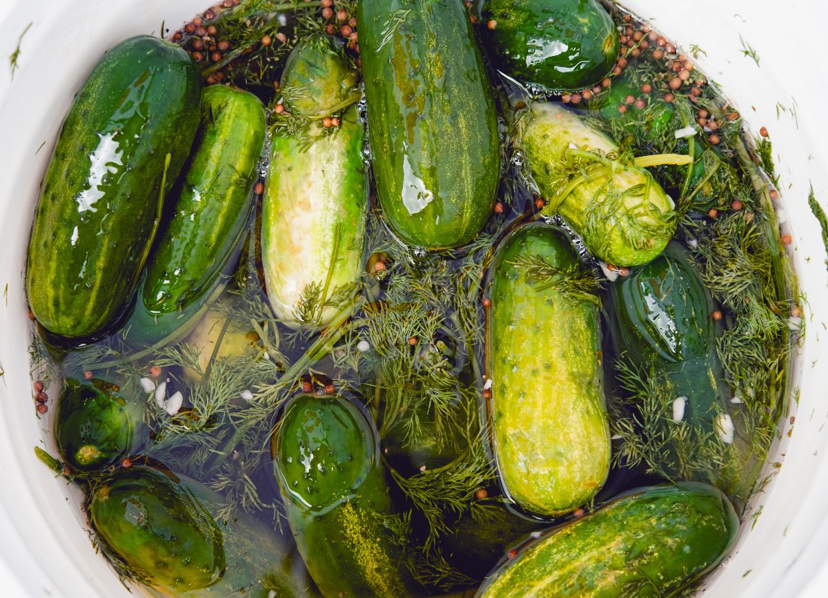 A crock of fermenting dill pickles