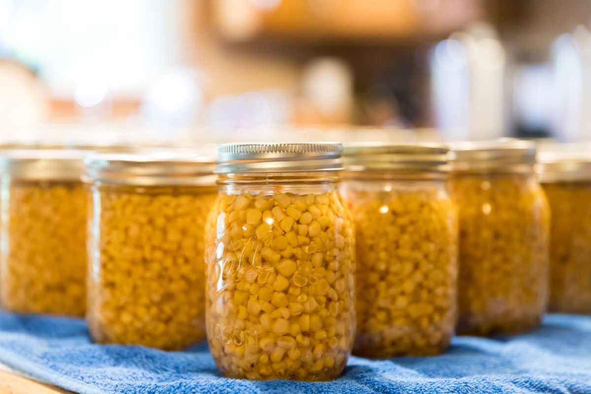 Freshly canned jars of canned corn