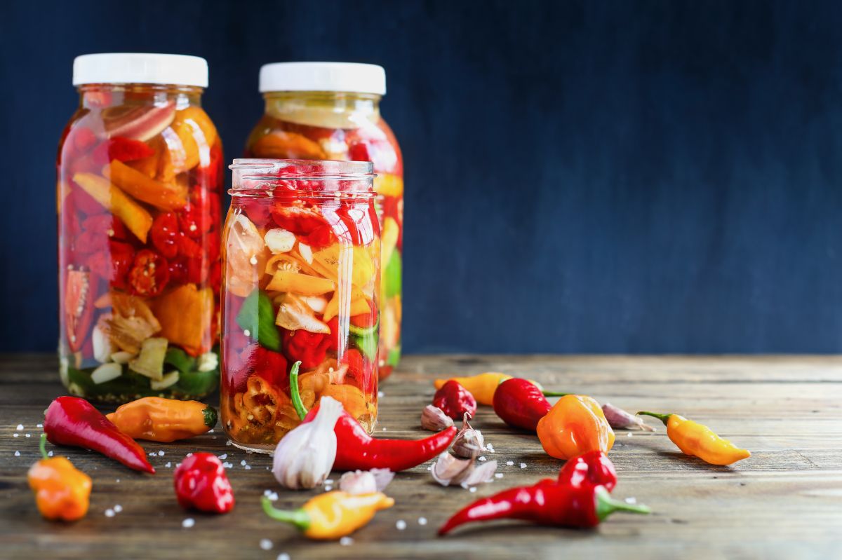 Jars packed for hot sauce fermentation