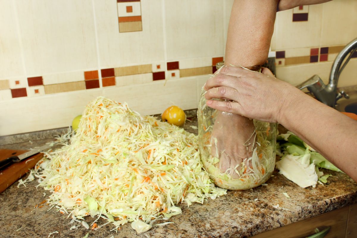 A person packing prepared cabbage into a fermentation jar