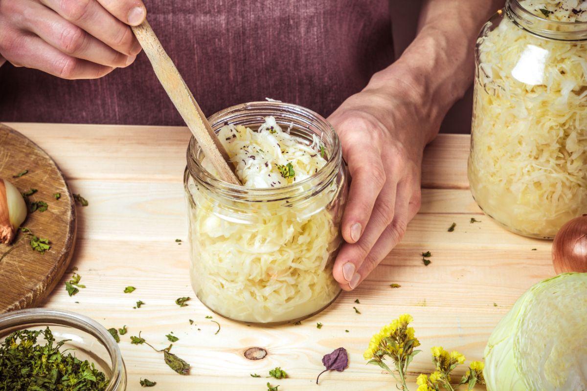Sauerkraut being canned for shelf stability