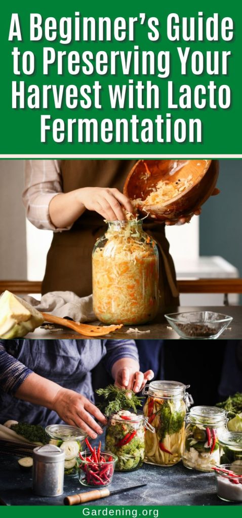 A Beginner’s Guide to Preserving Your Harvest with Lacto Fermentation pinterest image.