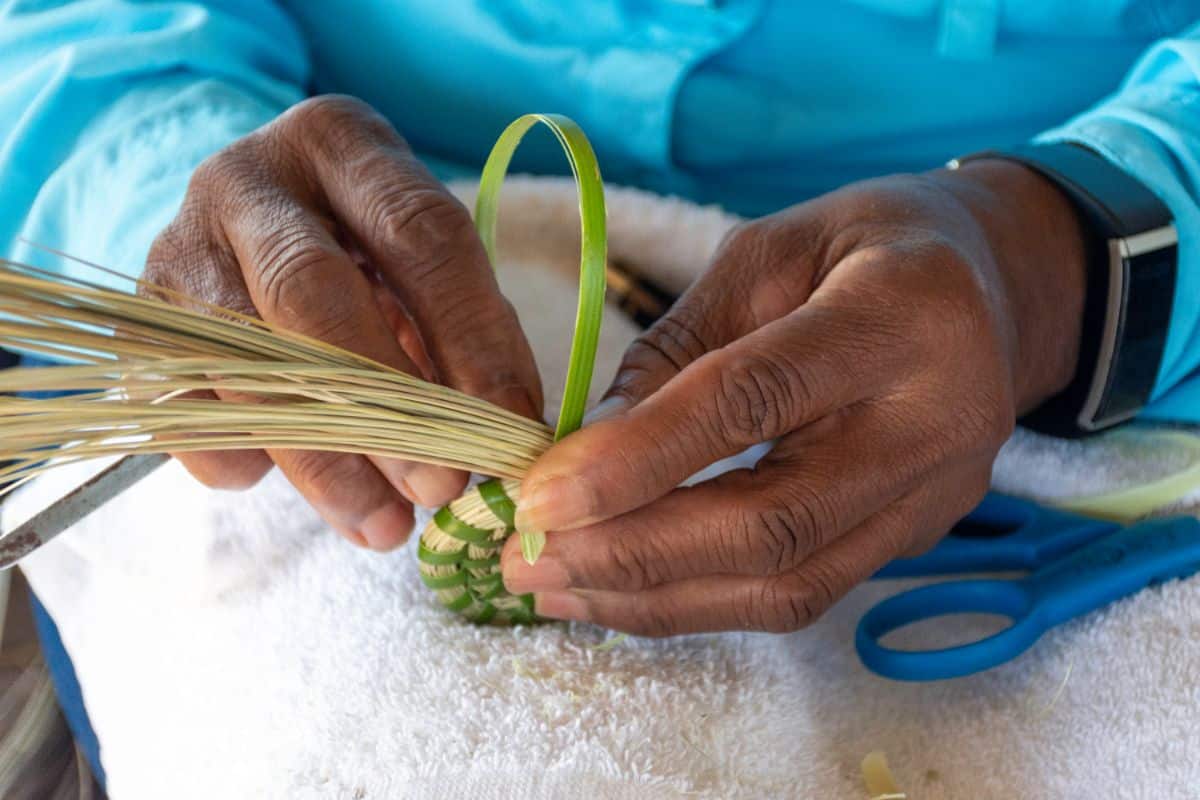 A person starting a coil weave basket