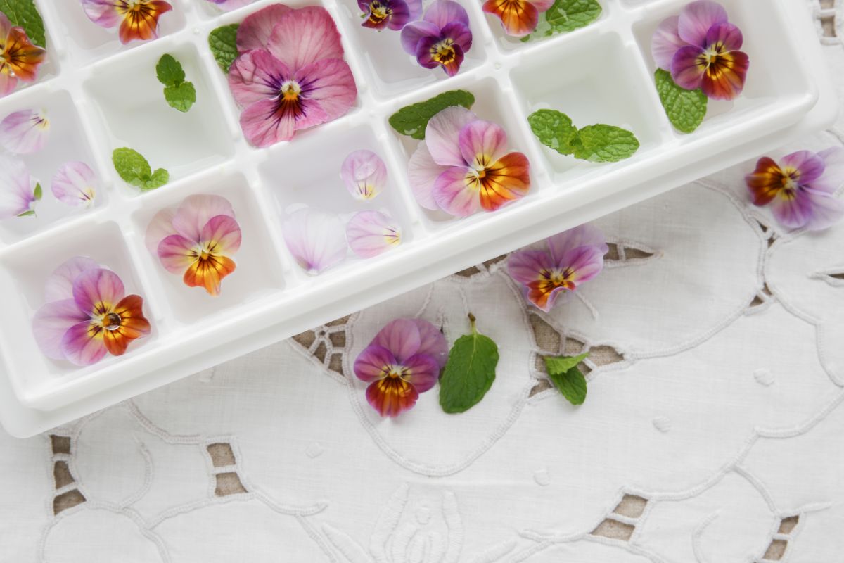 Flowers set into ice cubes for drink garnishes