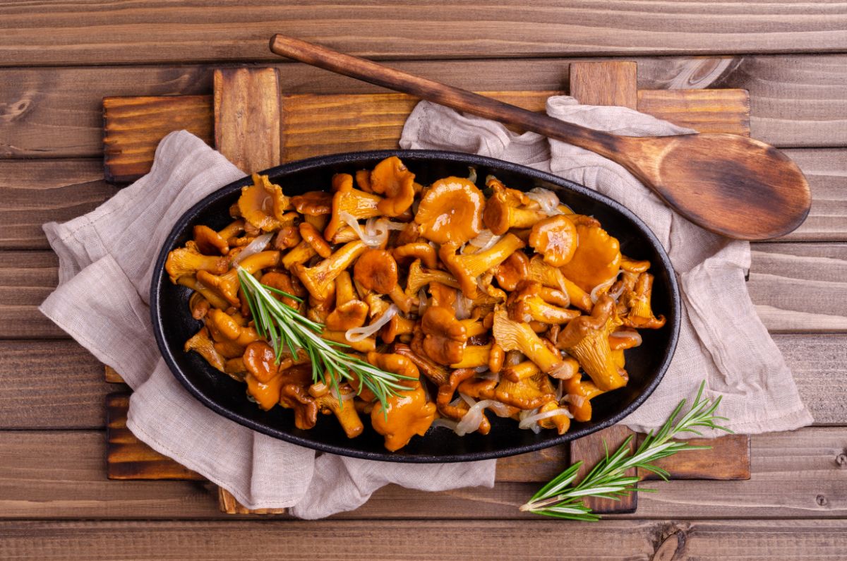 A platter of sauteed chanterelle mushrooms