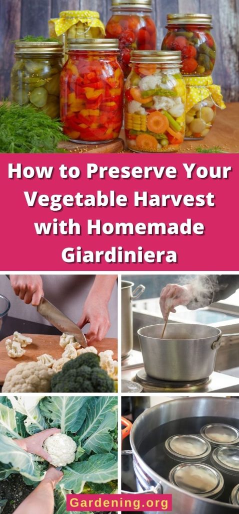 How to Preserve Your Vegetable Harvest with Homemade Giardiniera pinterest image.