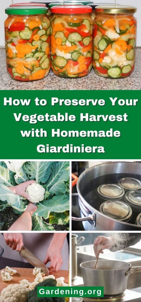 How to Preserve Your Vegetable Harvest with Homemade Giardiniera pinterest image.