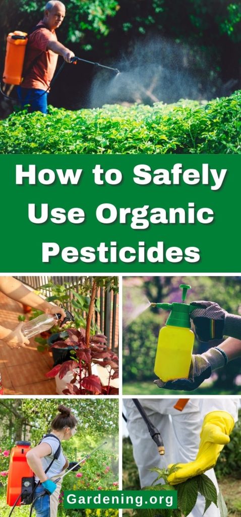 How to Safely Use Organic Pesticides pinterest image.