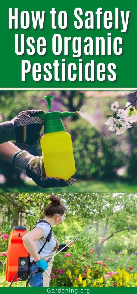How to Safely Use Organic Pesticides pinterest image.