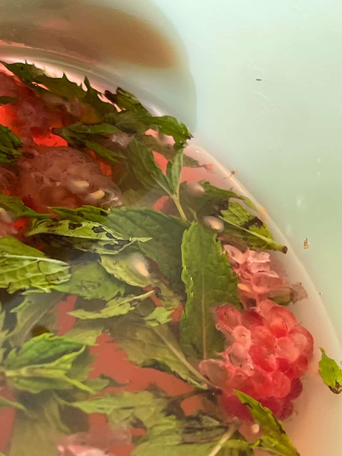 Water infused with mint and raspberries
