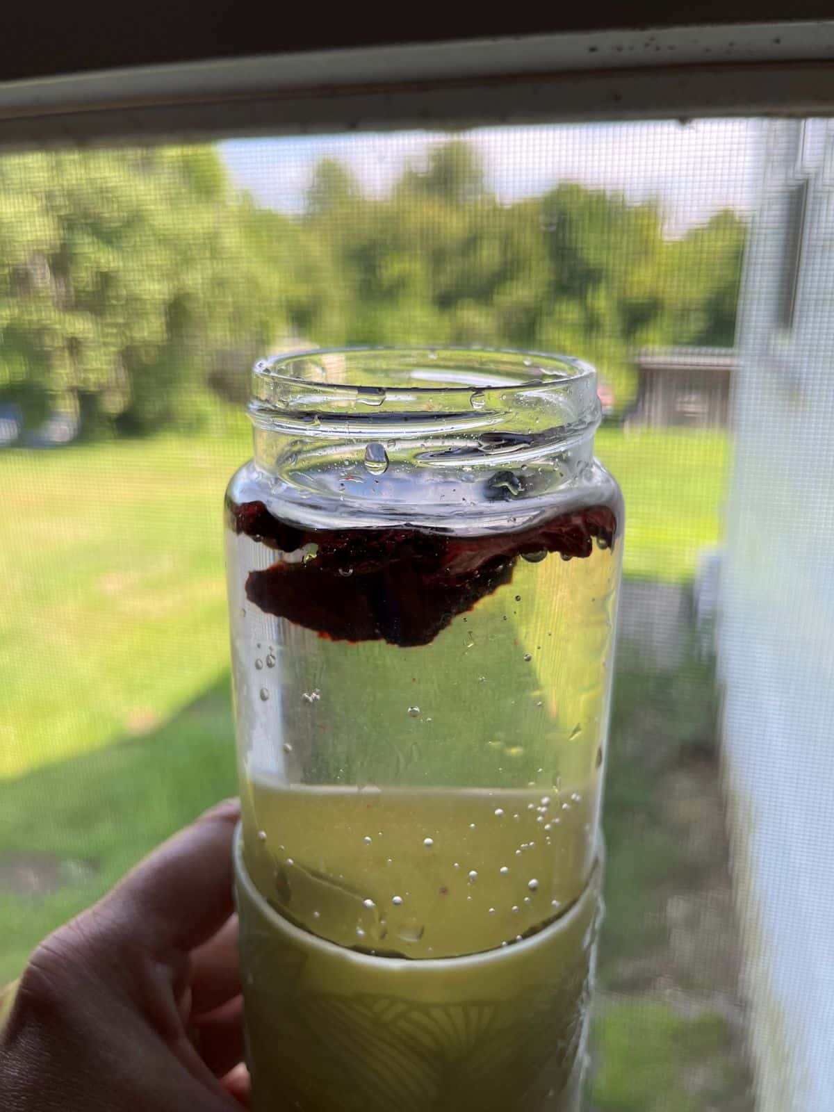 Water infused with garden produce