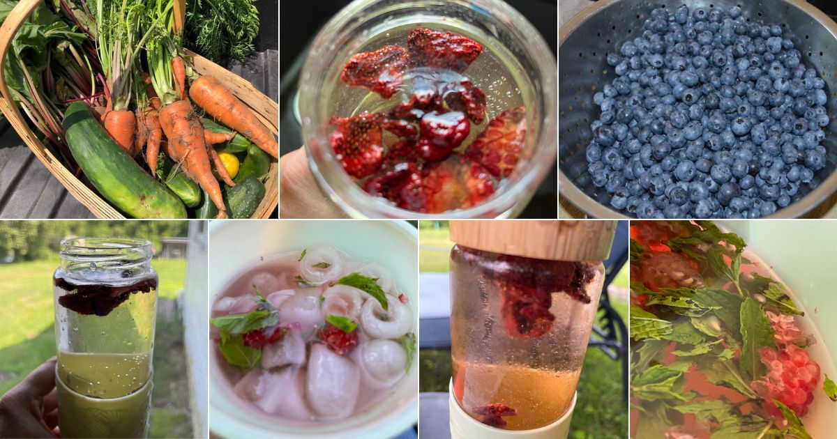25 Infused Water Flavors to Make Straight from Your Garden (+ How To ...