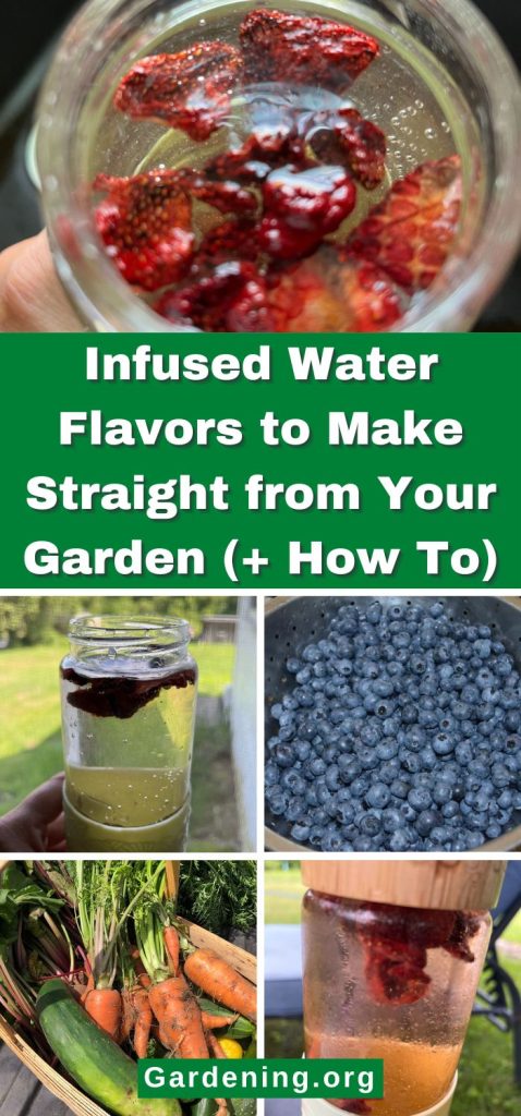 Infused Water Flavors to Make Straight from Your Garden (+ How To) pinterest image.