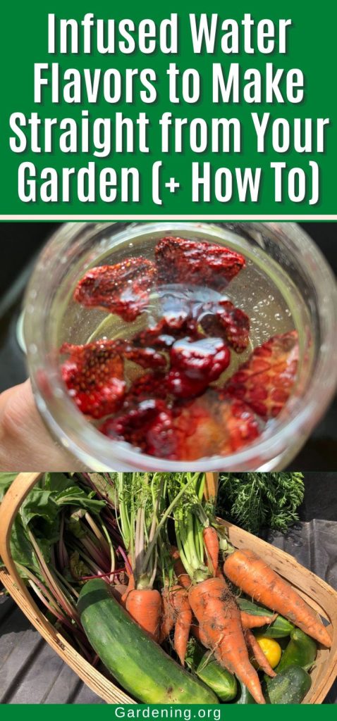 Infused Water Flavors to Make Straight from Your Garden (+ How To) pinterest image.
