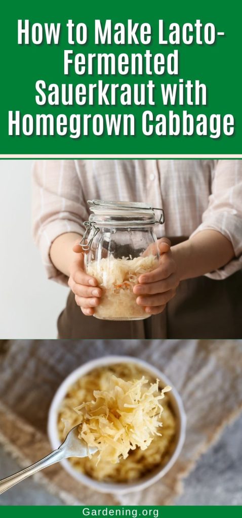 How to Make Lacto-Fermented Sauerkraut with Homegrown Cabbage pinterest image.
