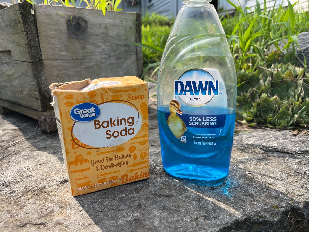 A bottle of dish soap next to baking soda for garden use