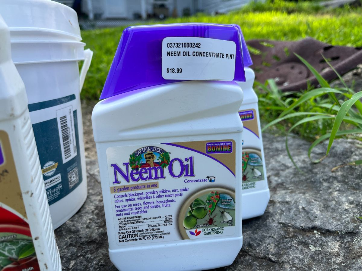 Neem oil for organic gardening