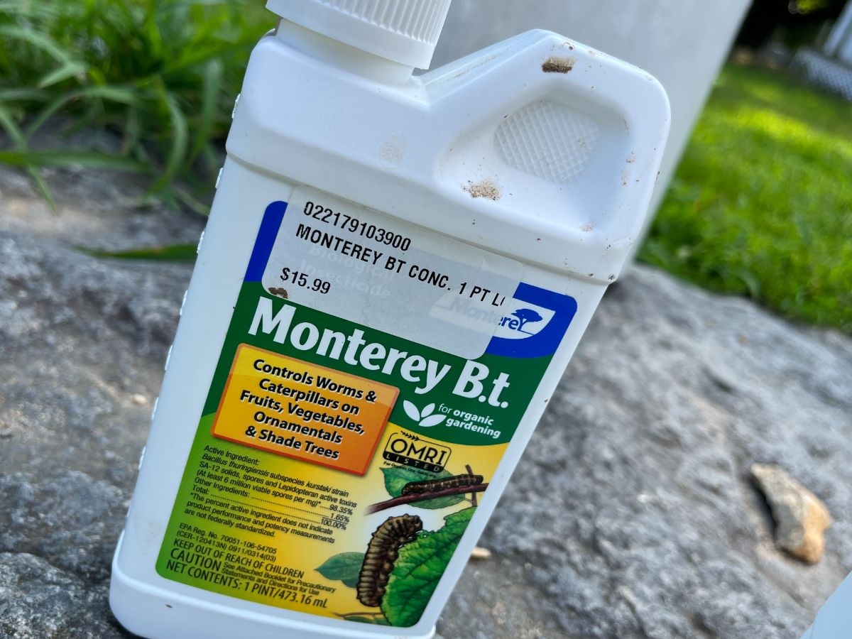 A bottle of Bt concentrate pest control solution