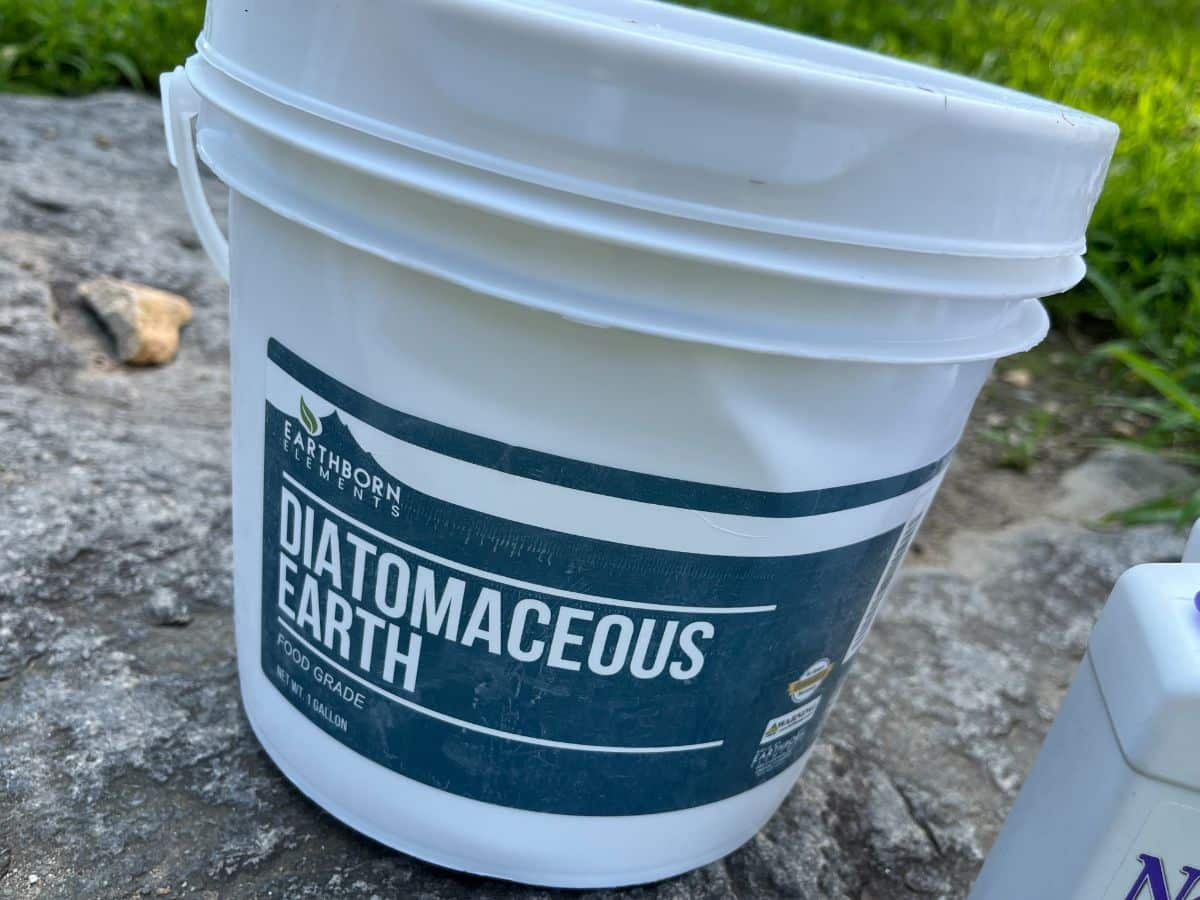 A small bucket of diatomaceaous earth