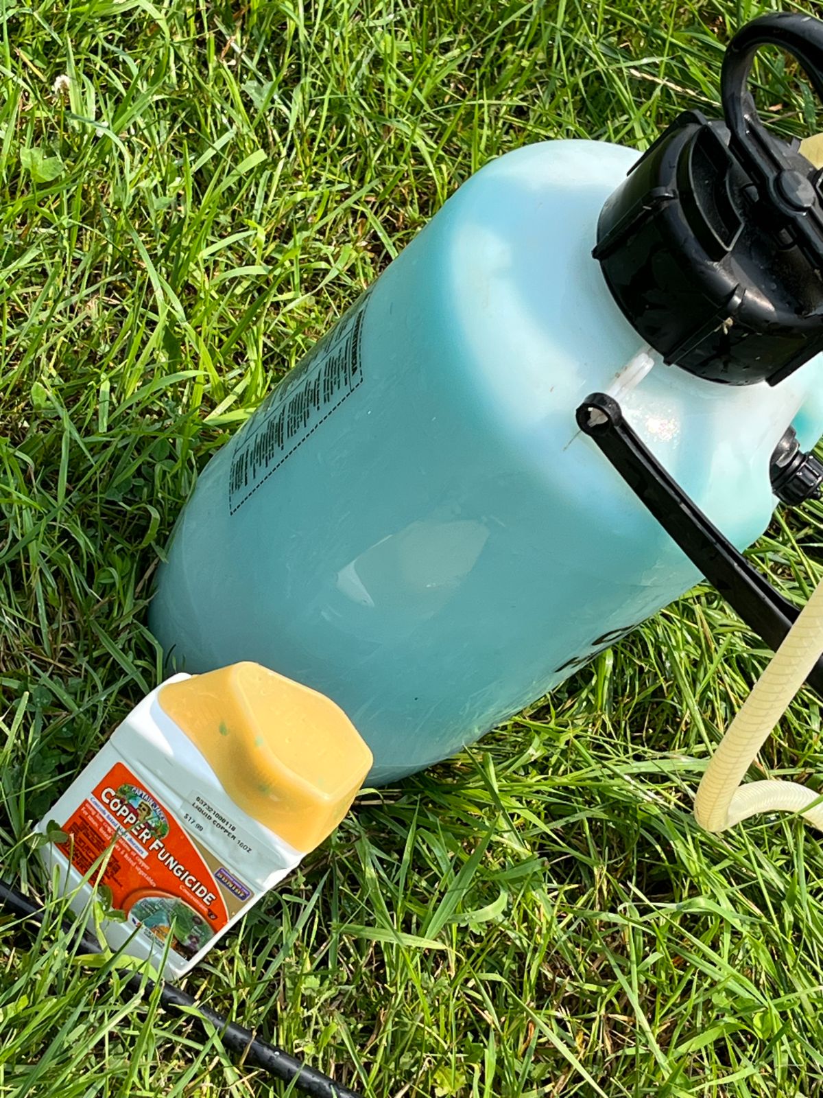 A two gallon garden sprayer for applying organic insecticide