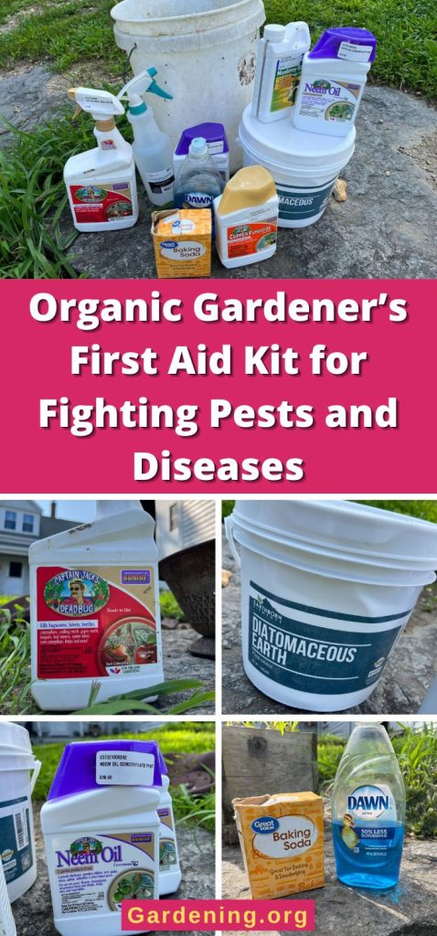 Organic Gardener’s First Aid Kit for Fighting Pests and Diseases pinterest image.