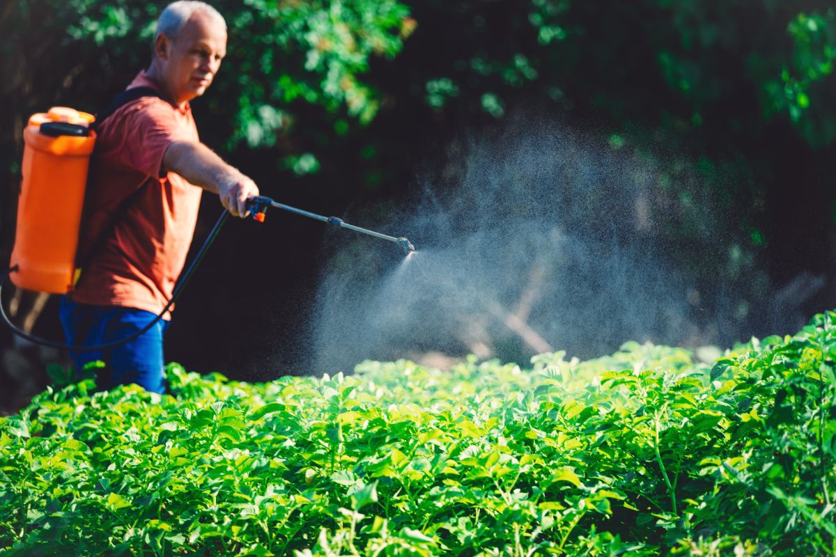 Organic pesticides being applied in calm conditions