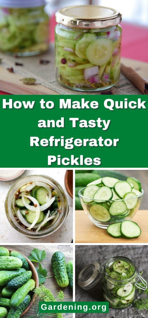 How to Make Quick and Tasty Refrigerator Pickles pinterest image.
