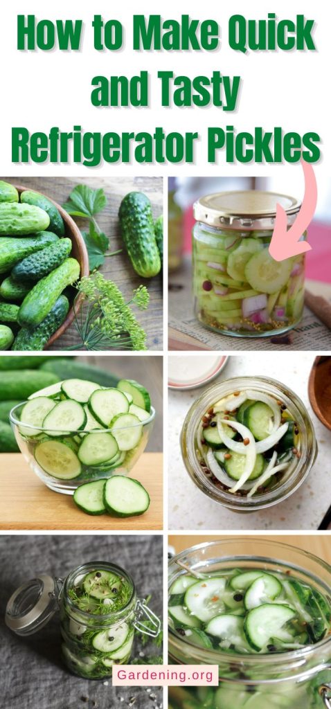 How to Make Quick and Tasty Refrigerator Pickles pinterest image.