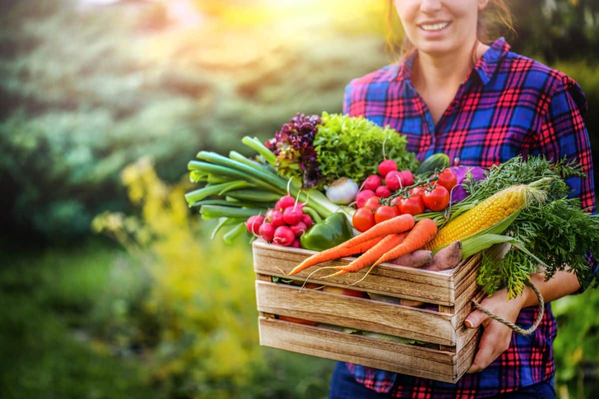 A woman holding a box of vegetables fresh from the garden