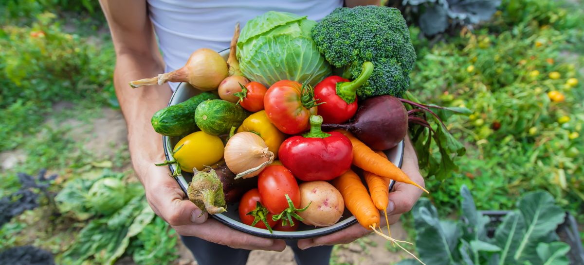 A woman holding a colander of fresh garden produce