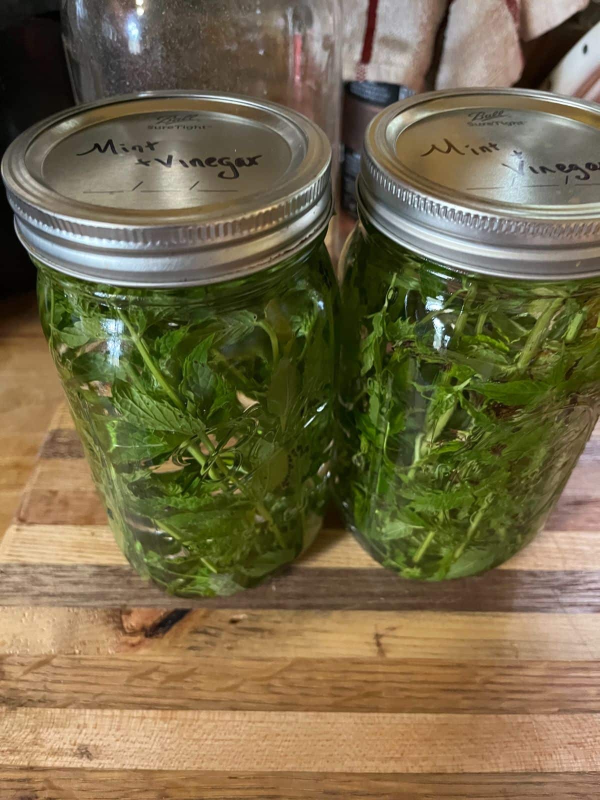 Jars of vinegar being infused with fresh mint