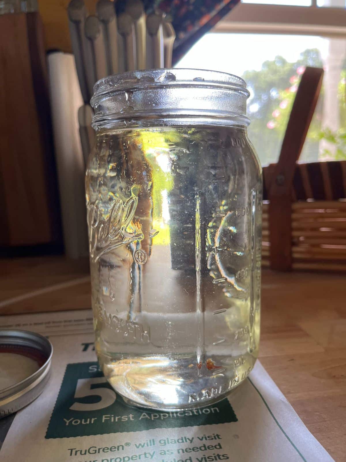 Strained mint vinegar to make cleaning spray