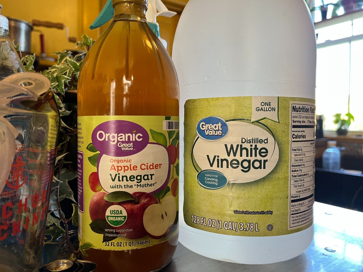 Bottles of Apple Cider Vinegar and Distilled white vinegar 