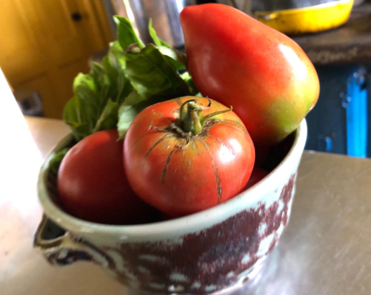 Ripening tomatoes in a pottery strainer