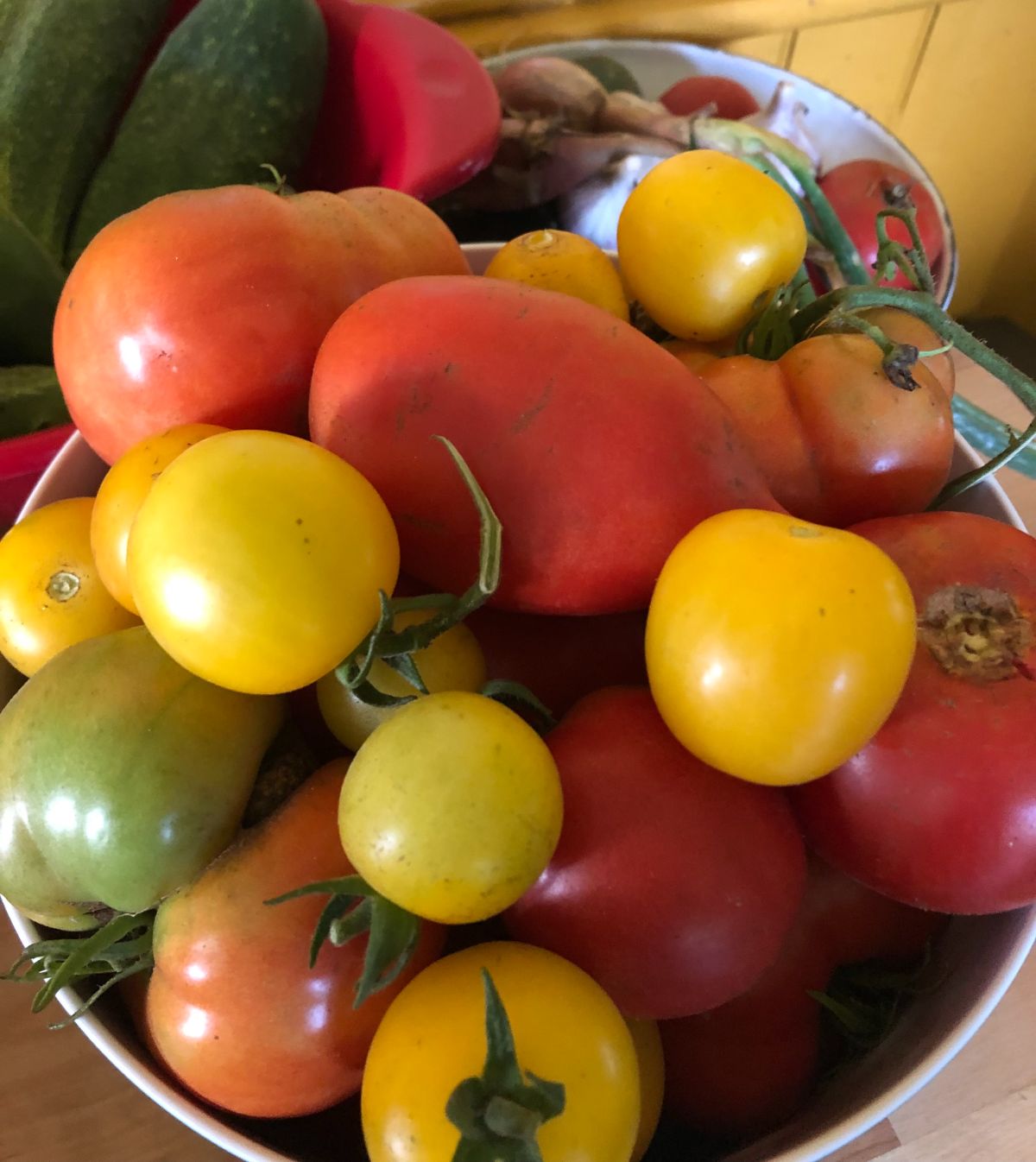 A bowl of garden fresh tomatoes, some ripe, some ripening