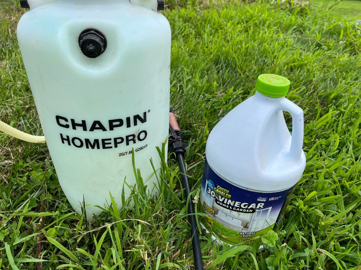 A bottle of horticultural vinegar next to a sprayer