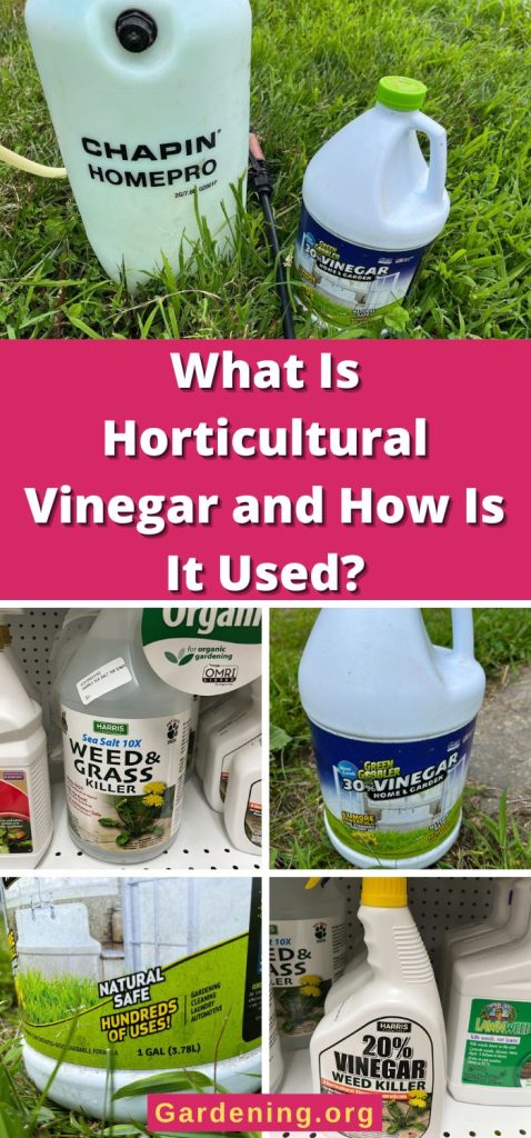 What Is Horticultural Vinegar and How Is It Used? pinterest image.