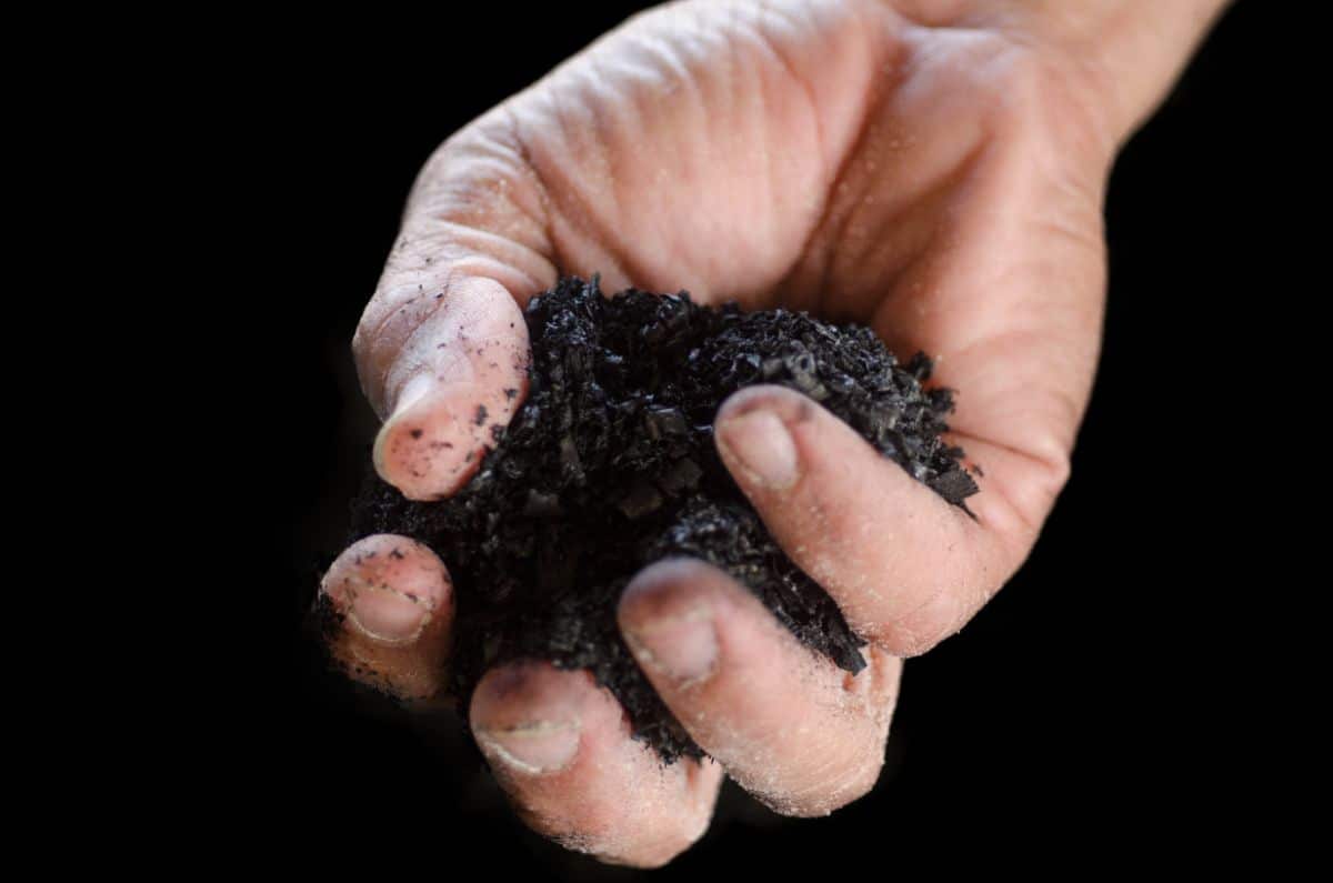 A person holding a handful of biochar
