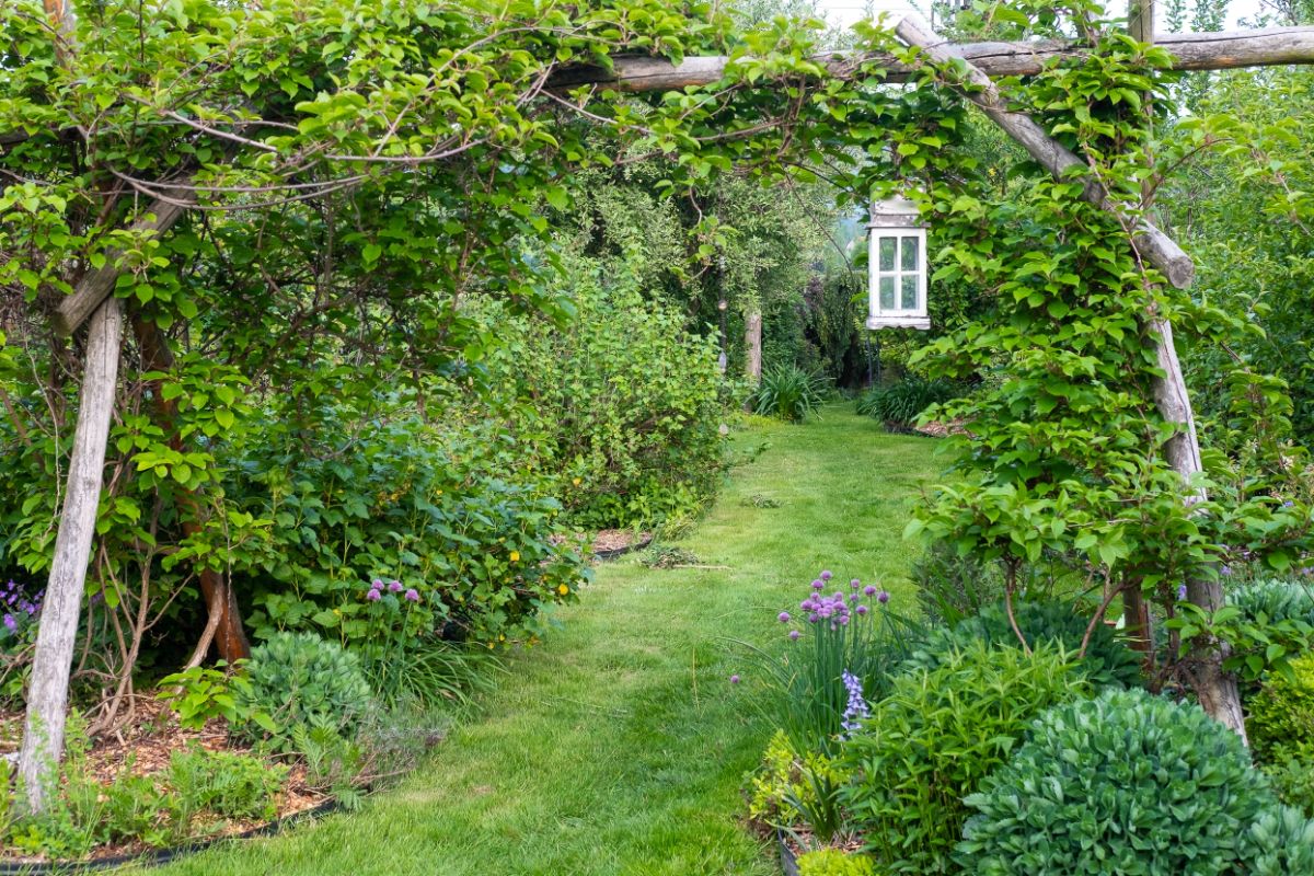 A permaculture landscape and yard