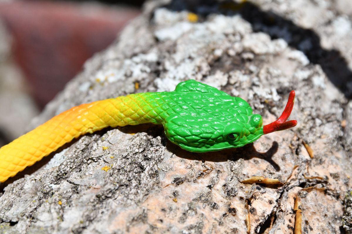 A rubber snake used as a garden decoy