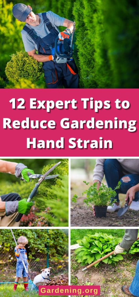 12 Expert Tips to Reduce Gardening Hand Strain pinterest image.