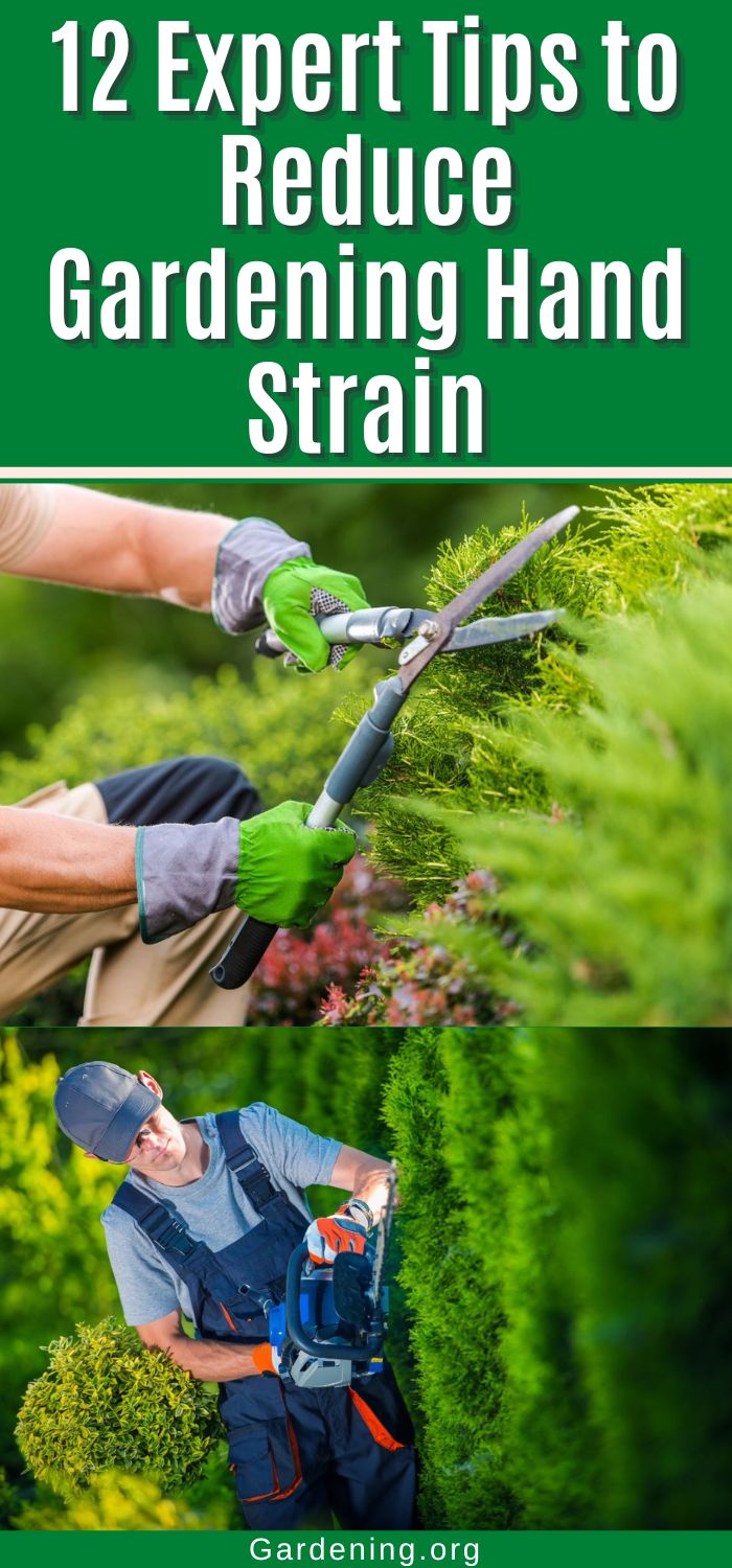 Hand Straining 12 Expert Tips to Reduce Gardening Hand Strain - Gardening