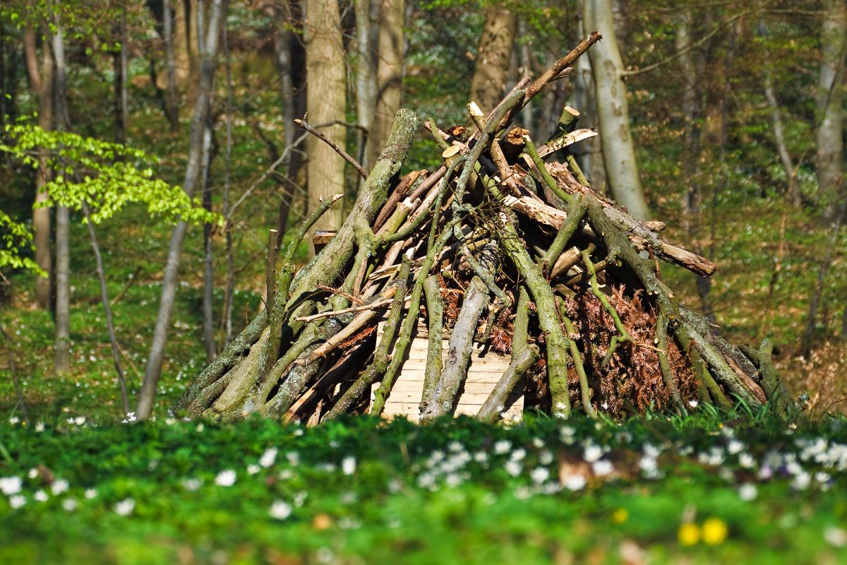 A cone shaped brush pile in the garden