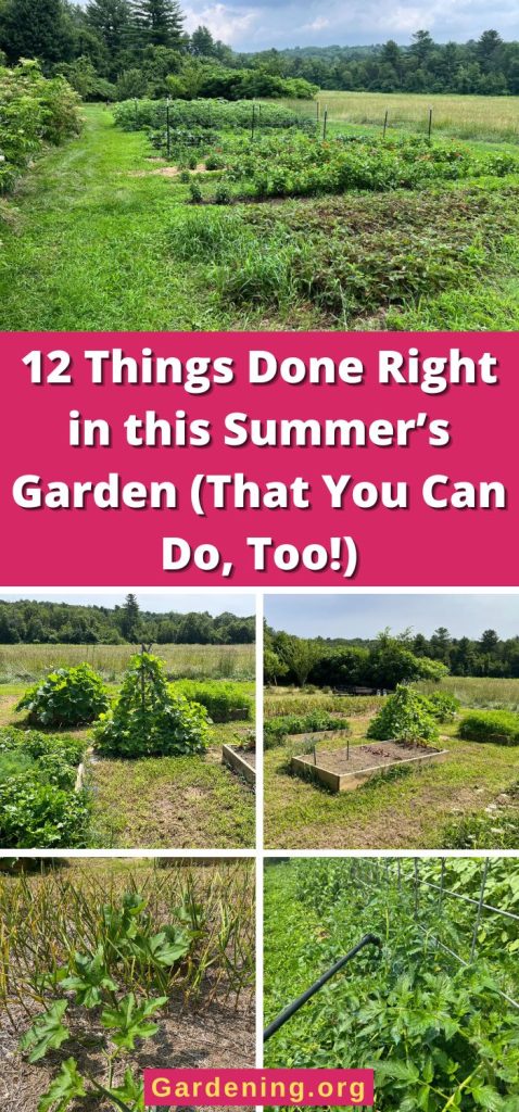 12 Things Done Right in this Summer’s Garden (That You Can Do, Too!) pinterest image.